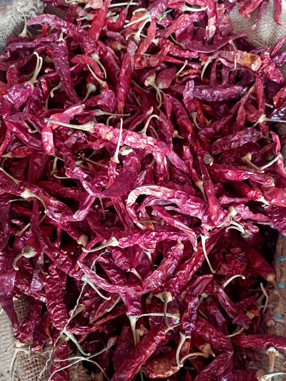 Mathania Mirch Saboot- Spicy – Rural Roots